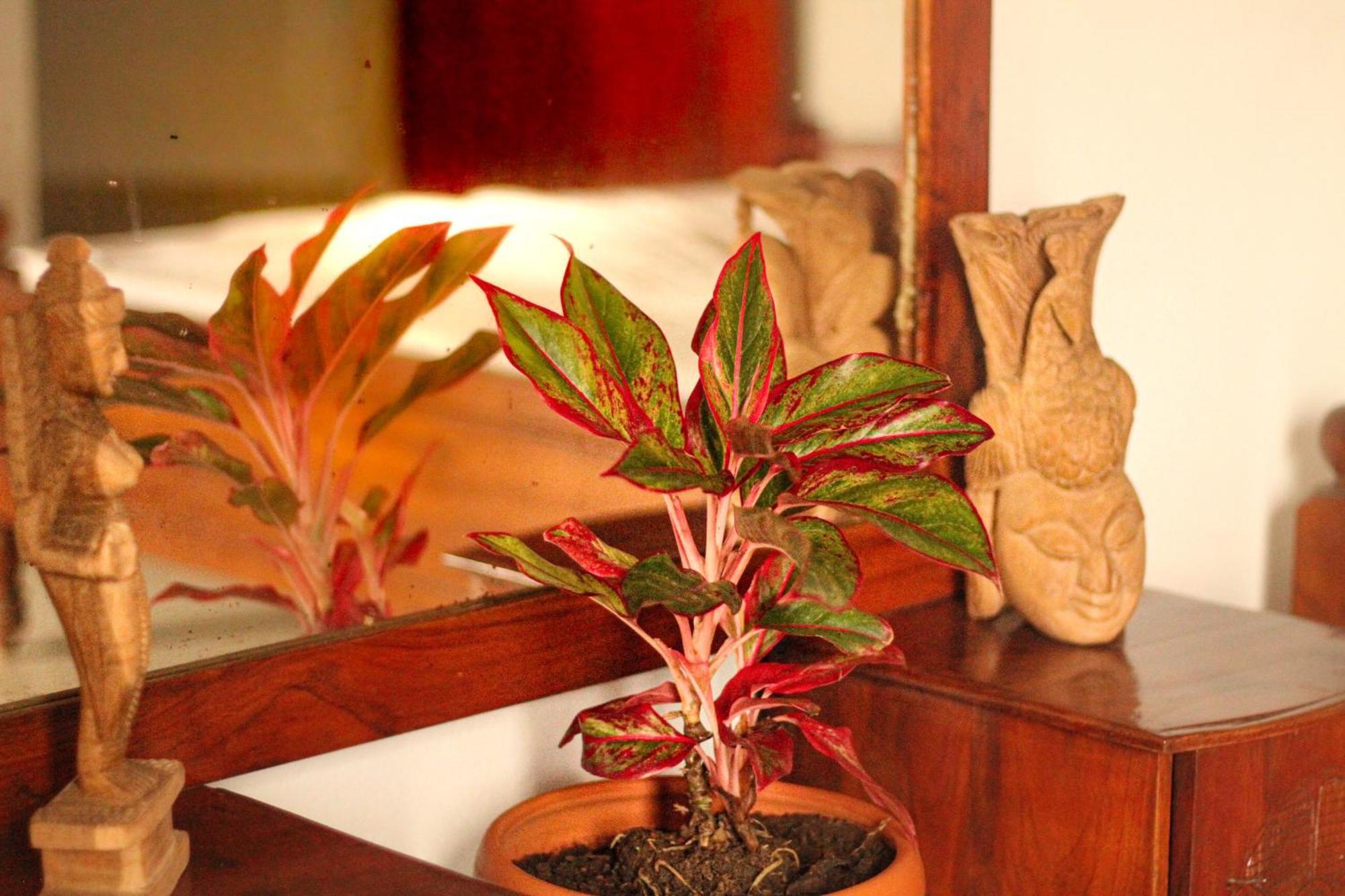 Golden Town Hostel Tangalle Luaran gambar