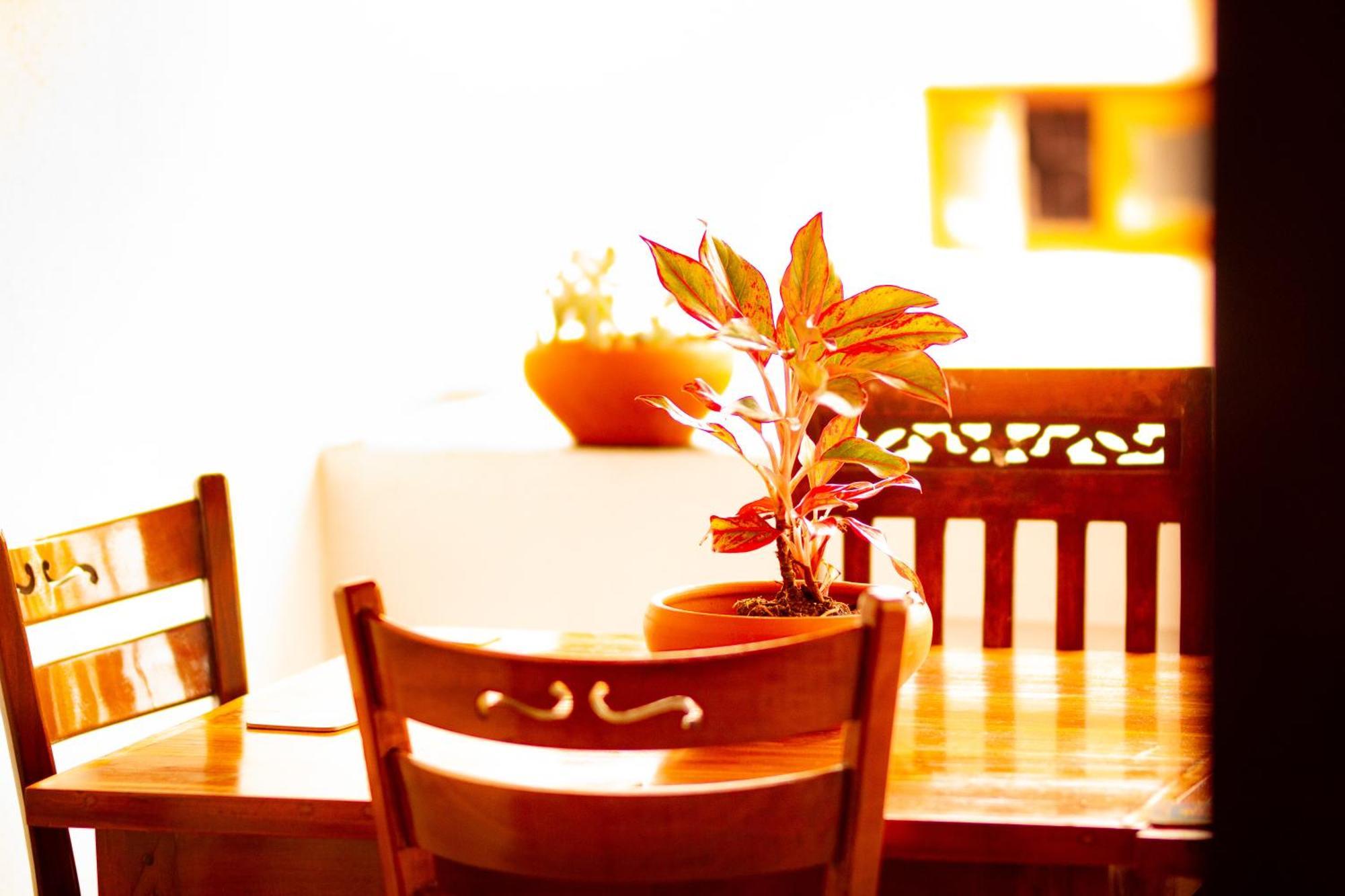 Golden Town Hostel Tangalle Luaran gambar